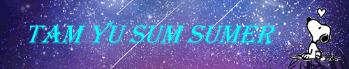 Sumer Tam